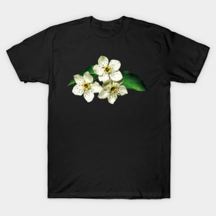 Apple Blossoms - Three Apple Blossoms T-Shirt